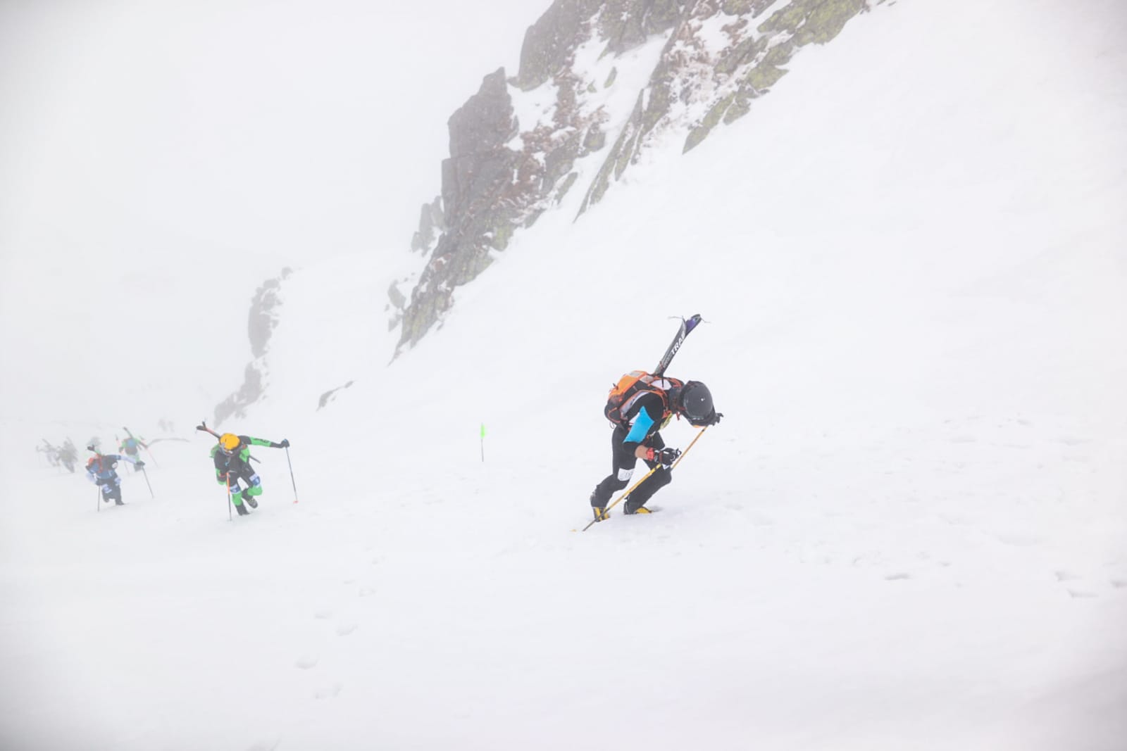 WhatsApp Image 2023-04-02 at 13.56.30